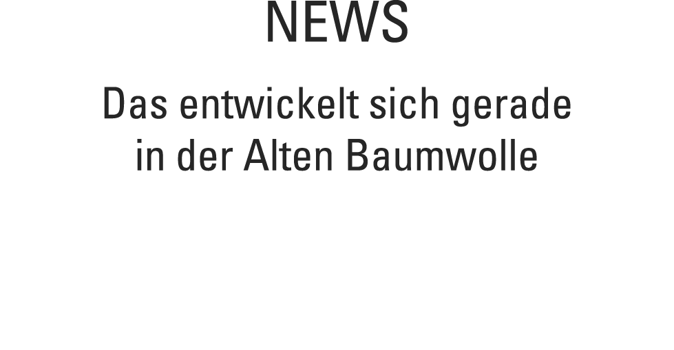 News Das entwickelt sich gerade in der Alten Baumwolle